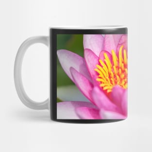 Red Waterlily Mug